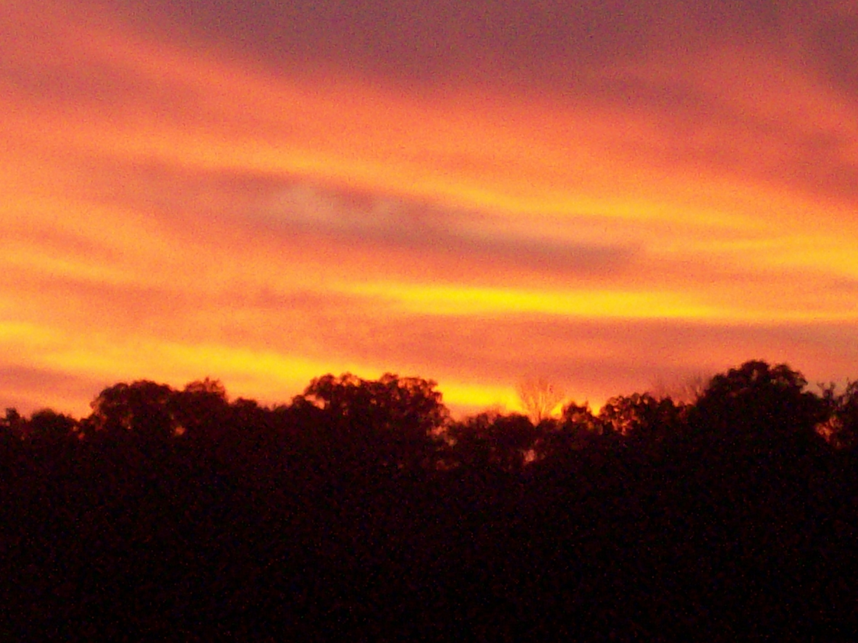 100_0546.JPG